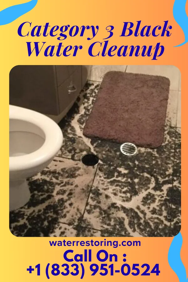 Category 3 Black Water Cleanup in Byars, OK